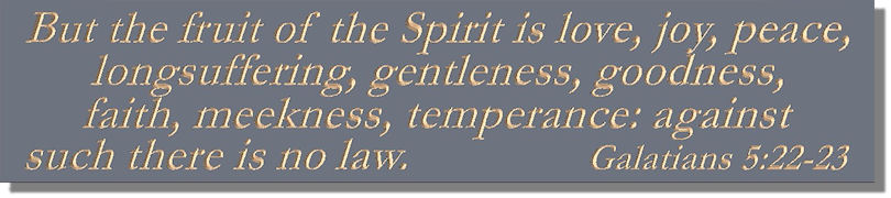But the fruit of the Spirit is love, joy, peace, longsuffering, gentleness, goodness, faith, meekness, temperance: against such there is no law  Galatians 5:22~23